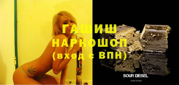 шишки Горняк