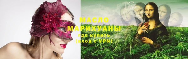 шишки Горняк