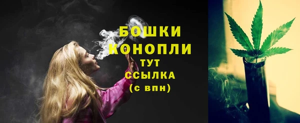 шишки Горняк