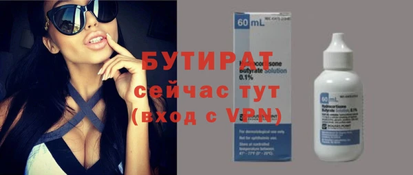 шишки Горняк