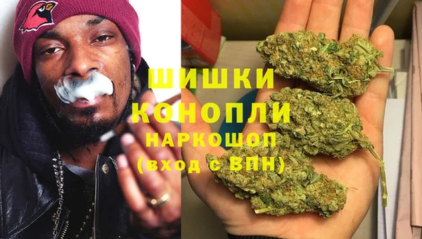 шишки Горняк