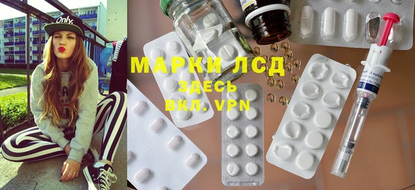 шишки Горняк