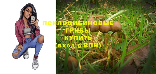 меф Горнозаводск
