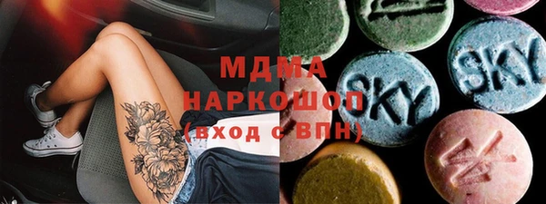 шишки Горняк