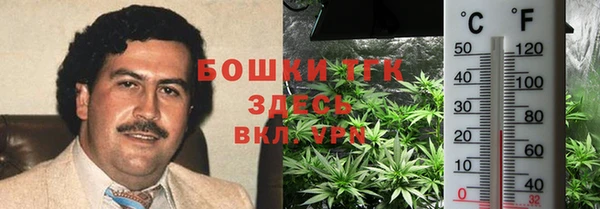 шишки Горняк