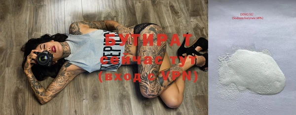 шишки Горняк