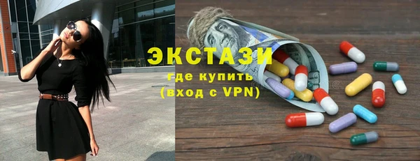 шишки Горняк