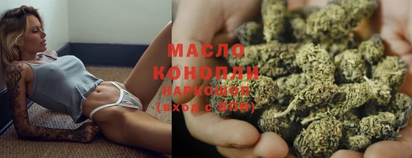 шишки Горняк