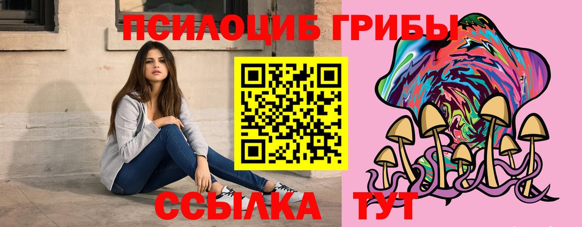 Галлюциногенные грибы мицелий Дальнегорск