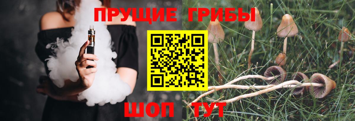 Псилоцибиновые грибы MAGIC MUSHROOMS  Вход с VPN  Галлюциногенные грибы Cubensis  Дальнегорск 
